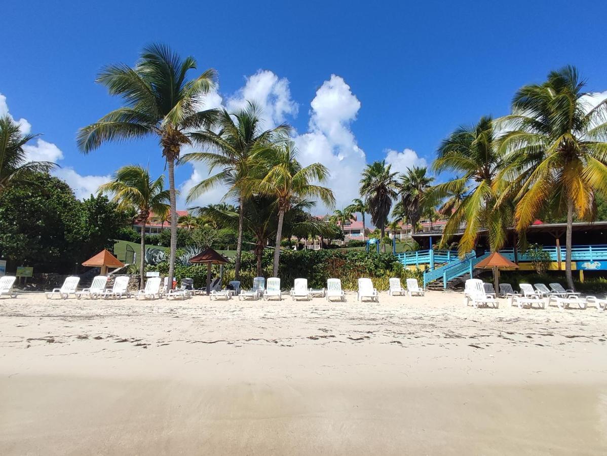 Studio Vue Mer Guadeloupe Sainte-Anne  Eksteriør billede