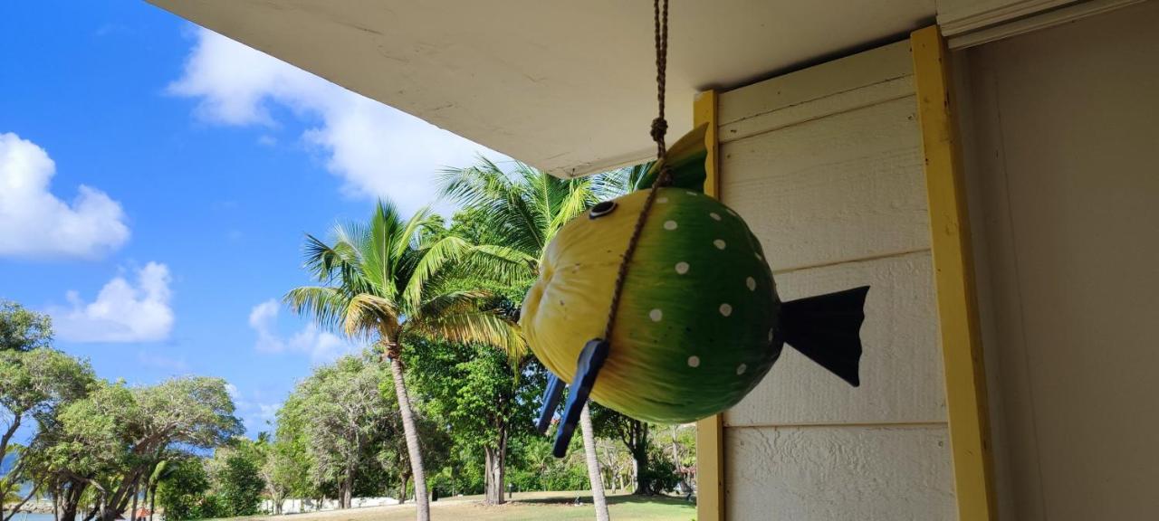 Studio Vue Mer Guadeloupe Sainte-Anne  Eksteriør billede